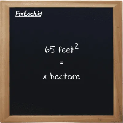 Example feet<sup>2</sup> to hectare conversion (65 ft<sup>2</sup> to ha)