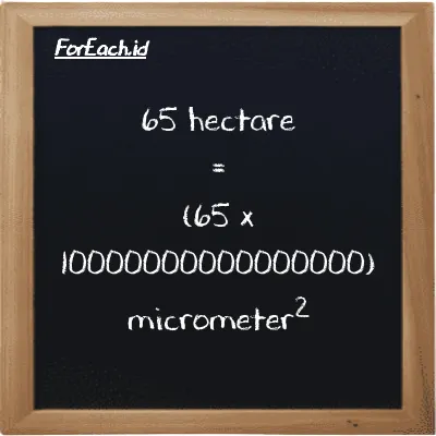 How to convert hectare to micrometer<sup>2</sup>: 65 hectare (ha) is equivalent to 65 times 10000000000000000 micrometer<sup>2</sup> (µm<sup>2</sup>)