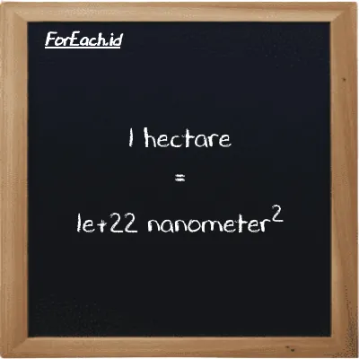 1 hectare is equivalent to 1e+22 nanometer<sup>2</sup> (1 ha is equivalent to 1e+22 nm<sup>2</sup>)