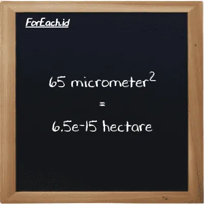 65 micrometer<sup>2</sup> is equivalent to 6.5e-15 hectare (65 µm<sup>2</sup> is equivalent to 6.5e-15 ha)