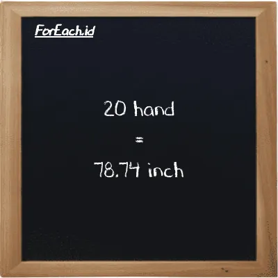 20 hand is equivalent to 78.74 inch (20 h is equivalent to 78.74 in)