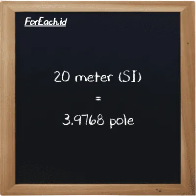 20 meter is equivalent to 3.9768 pole (20 m is equivalent to 3.9768 pl)