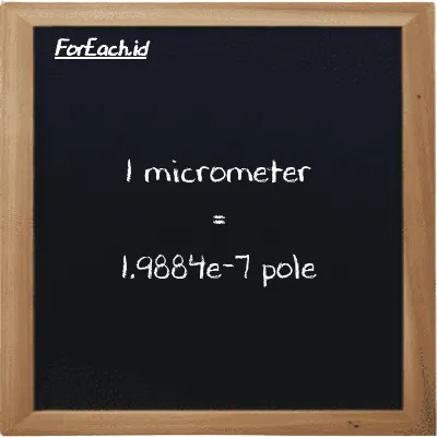1 micrometer is equivalent to 1.9884e-7 pole (1 µm is equivalent to 1.9884e-7 pl)
