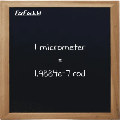 1 micrometer is equivalent to 1.9884e-7 rod (1 µm is equivalent to 1.9884e-7 rd)