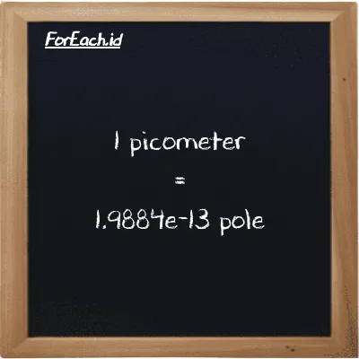 1 picometer is equivalent to 1.9884e-13 pole (1 pm is equivalent to 1.9884e-13 pl)
