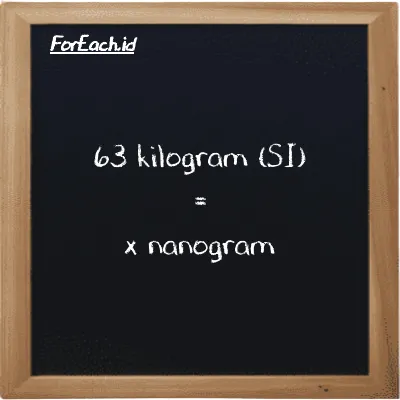 Example kilogram to nanogram conversion (63 kg to ng)