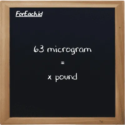 Example microgram to pound conversion (63 µg to lb)
