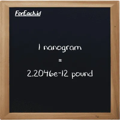 1 nanogram is equivalent to 2.2046e-12 pound (1 ng is equivalent to 2.2046e-12 lb)