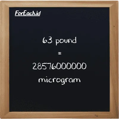 63 pound is equivalent to 28576000000 microgram (63 lb is equivalent to 28576000000 µg)