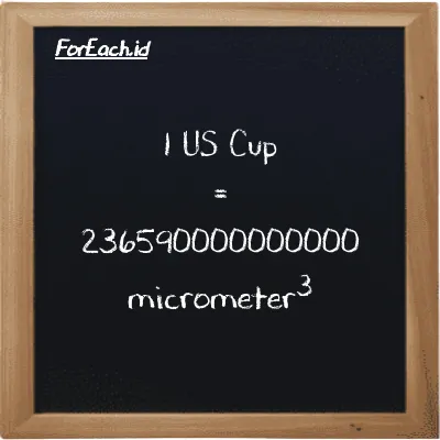1 US Cup is equivalent to 236590000000000 micrometer<sup>3</sup> (1 c is equivalent to 236590000000000 µm<sup>3</sup>)
