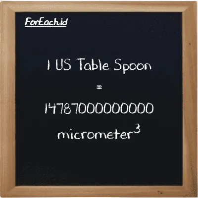 1 US Table Spoon is equivalent to 14787000000000 micrometer<sup>3</sup> (1 tbsp is equivalent to 14787000000000 µm<sup>3</sup>)