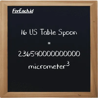 16 US Table Spoon is equivalent to 236590000000000 micrometer<sup>3</sup> (16 tbsp is equivalent to 236590000000000 µm<sup>3</sup>)
