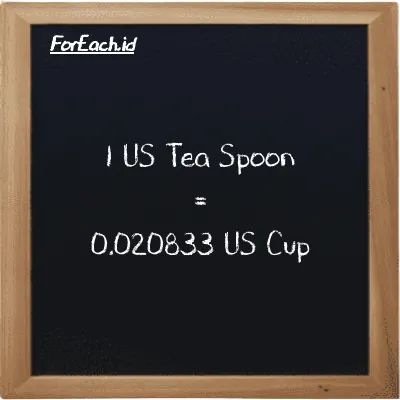 1 US Tea Spoon is equivalent to 0.020833 US Cup (1 tsp is equivalent to 0.020833 c)